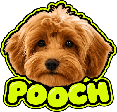 Pooch