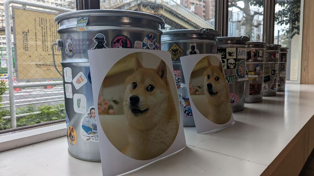 Round Doge portraits propped in front of metal pails covered in stickers