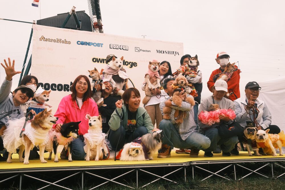 Owners crouched on the yellow stage with their dogs, many in costumes