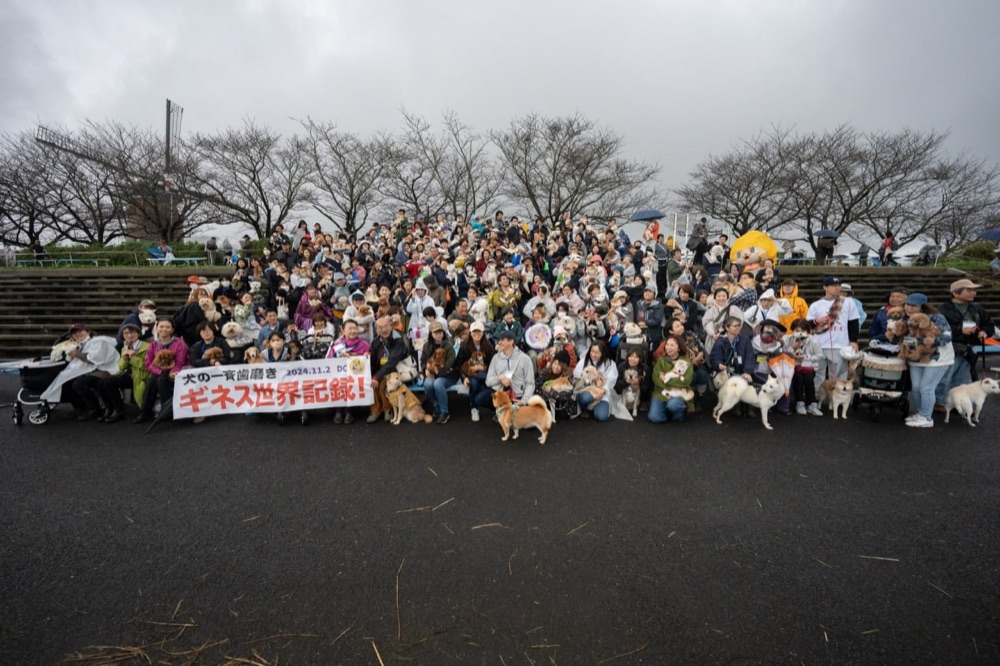 A huge crowd of owners and their dogs filling the park steps around a banner for the Guinness World Record dog tooth-brushing attempt