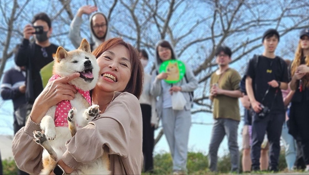 A smiling woman holding up a Shiba in a pink polka-dot harness, with onlookers photographing them under bare trees