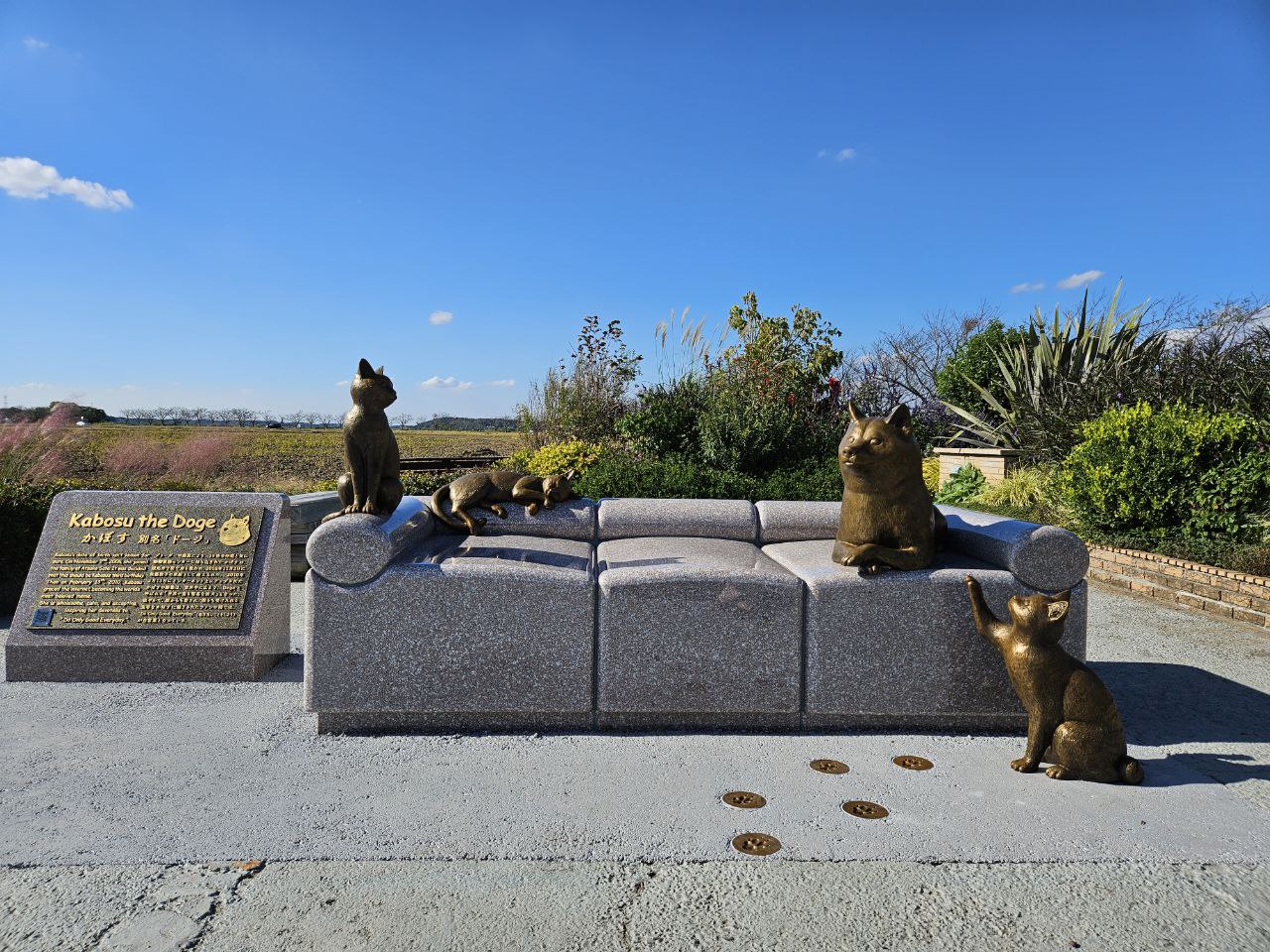 Kabosu Couch